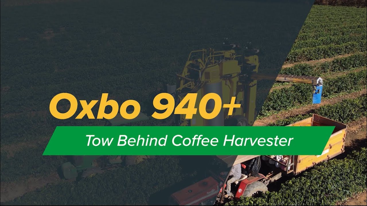 entdecken sie, wie bnb seinen höchststand von 940 $ erreicht hat. aktuelle analysen, kursentwicklungen und prognosen rund um den binance coin (bnb) – bleiben sie informiert!